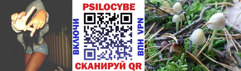 купить наркотик  Чусовой  Псилоцибиновые грибы Magic Shrooms 